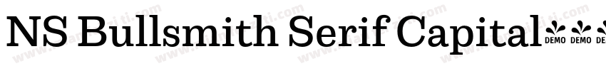 NS Bullsmith Serif Capital字体转换